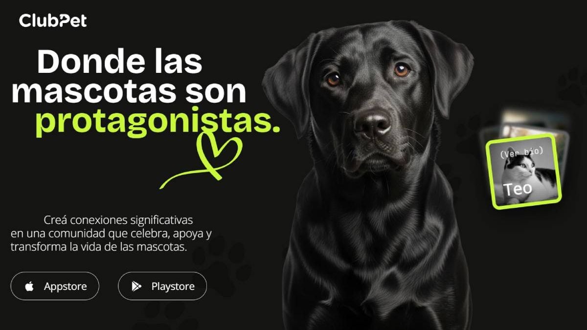 Una app para no perder de vista a la mascota: ClubPet llega a Neuquén con una jornada de adopción en el Club Pacífico