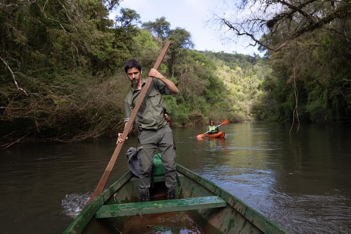 Selva, kayak y restauración: la reserva que produce hasta 200.000 plantines por año en el corazón de Yabotí