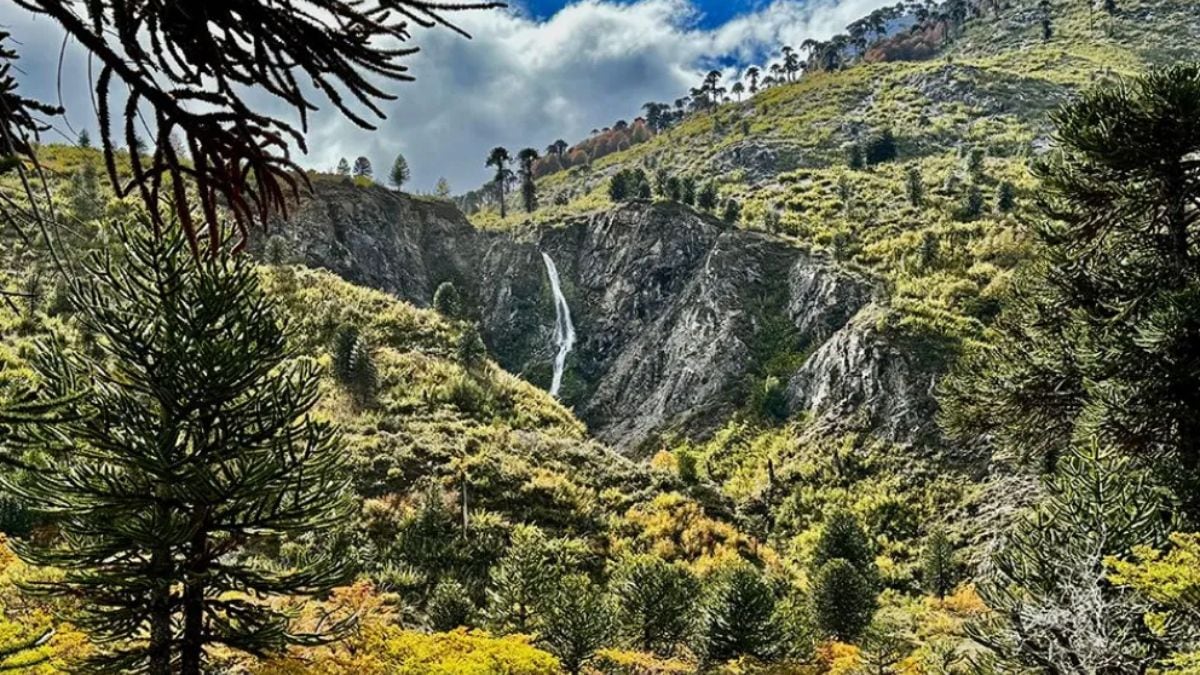 Cuidado con los lotes truchos de Pulmarí: si te ofrecen un terreno, no entregues un peso sin chequear antes