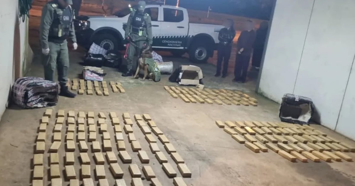 Misiones: Gendarmería secuestró más de 142 kilos de marihuana en un colectivo con destino a Buenos Aires