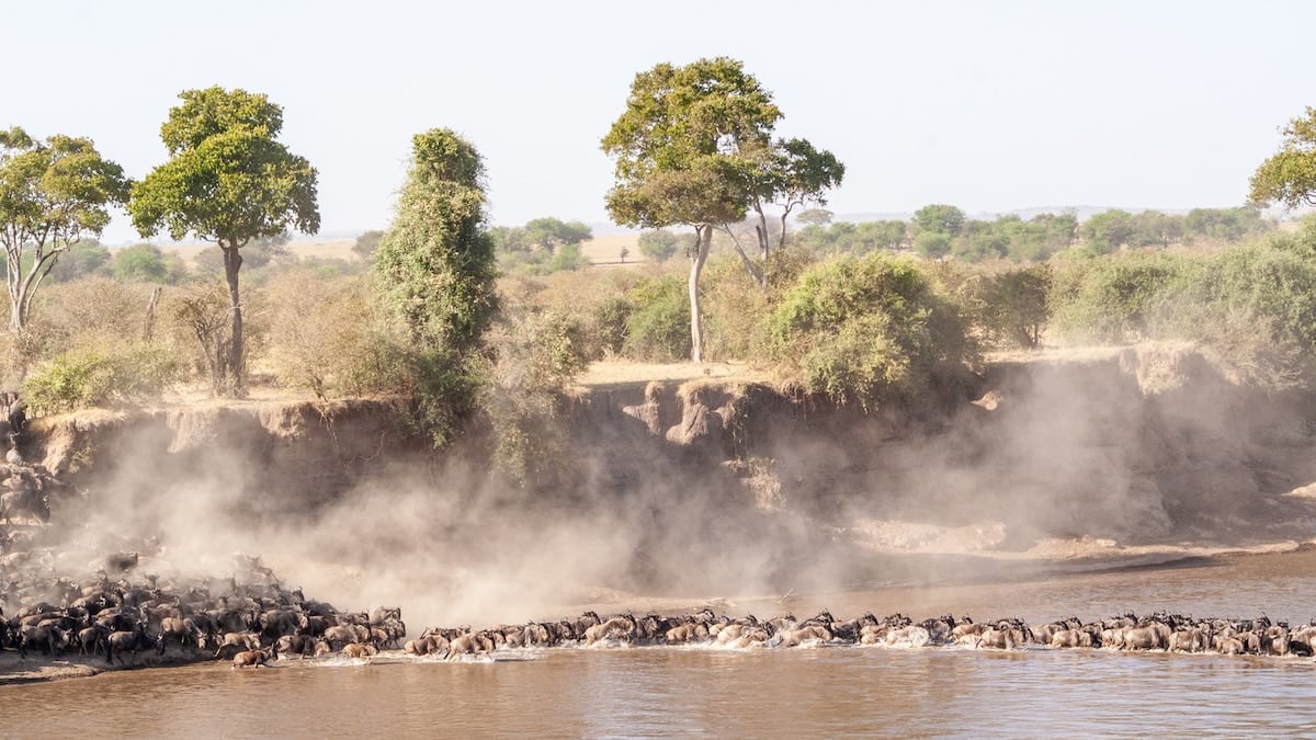 Tanzania sin filtro: entre la gran migración y el barro del Ol Doinyo Lengai