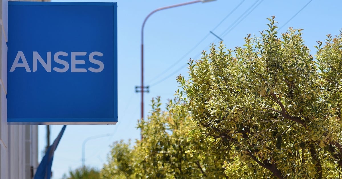 Cronograma de ANSES para DNI terminado en 2: qué se cobra, cuándo y cuánto en octubre