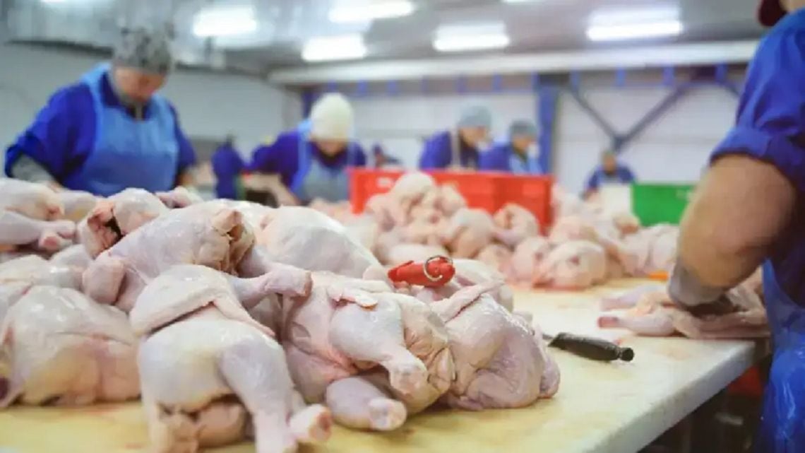 Por primera vez, el pollo lideró el consumo de carnes en la Argentina y dejó a la vacuna en segundo lugar