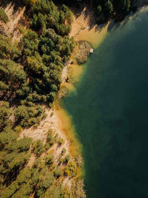 Una capillita de madera que sigue de pie en medio del lago Lácar, testigo del pulso de un antiguo aserradero