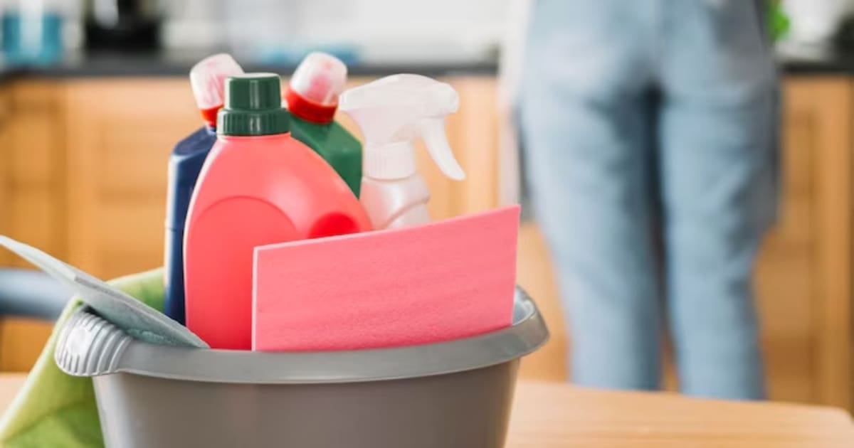 ARCA lanza un recibo de sueldo automático para el personal de casas particulares y abre el debate sobre quién controla los números