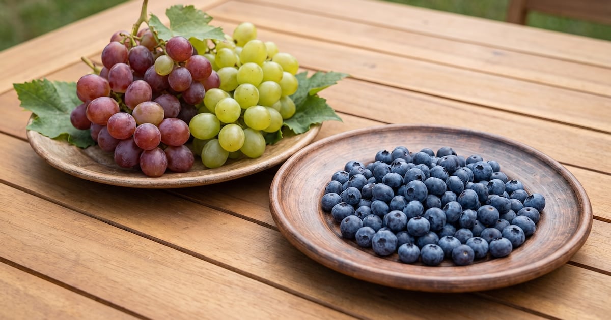 Arándanos o uvas, la pelea por el azúcar: cual elegir si te cuida el pico de glucosa