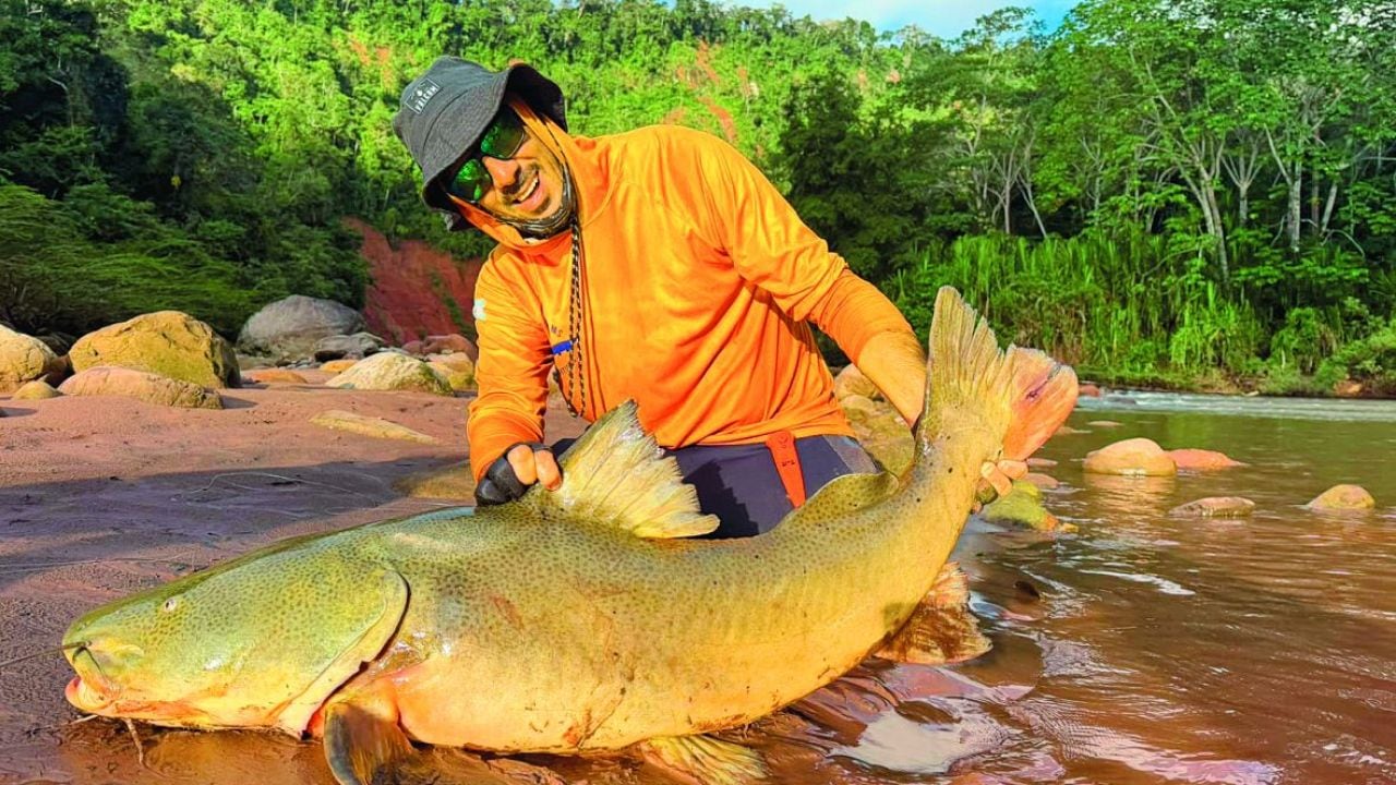 La Amazonía boliviana abre su río de 350 kilómetros a la pesca con devolución: quince especies y piezas de hasta 25 kilos en aguas de selva