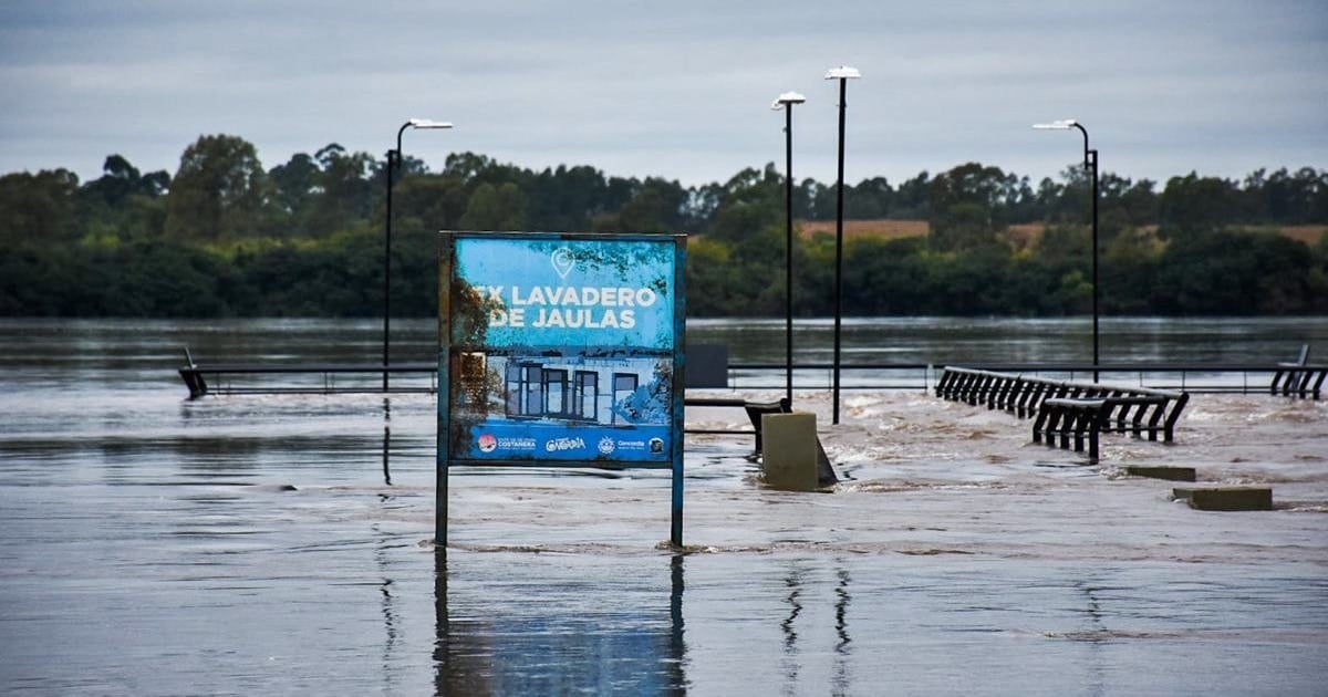 El Niño empuja la carne hacia arriba y la energía hacia abajo: cómo impacta en el bolsillo antes de las Fiestas