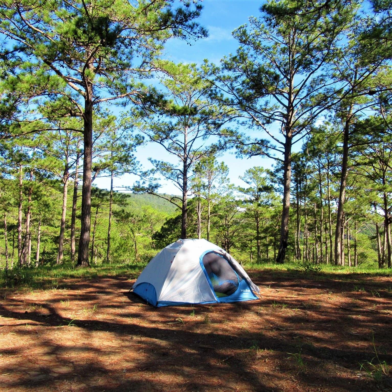 Huttopia desembarca en Mar Azul con 55 hectáreas de bosque, 240 parcelas y una apuesta por el turismo de naturaleza que la empresa francesa quiere replicar en cuatro parques nacionales