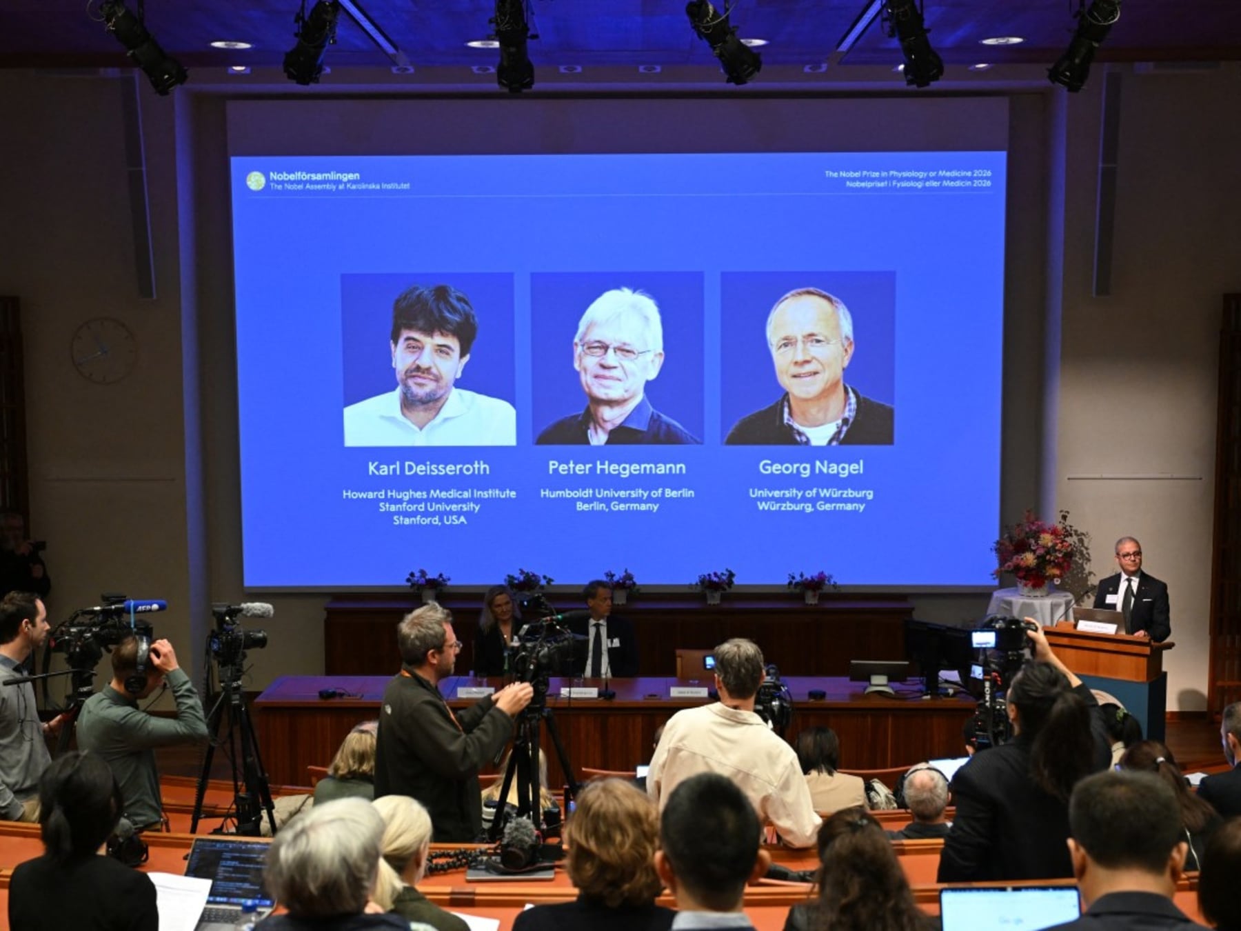Una luz milimétrica sobre el cerebro: qué cambia con el Nobel de Medicina