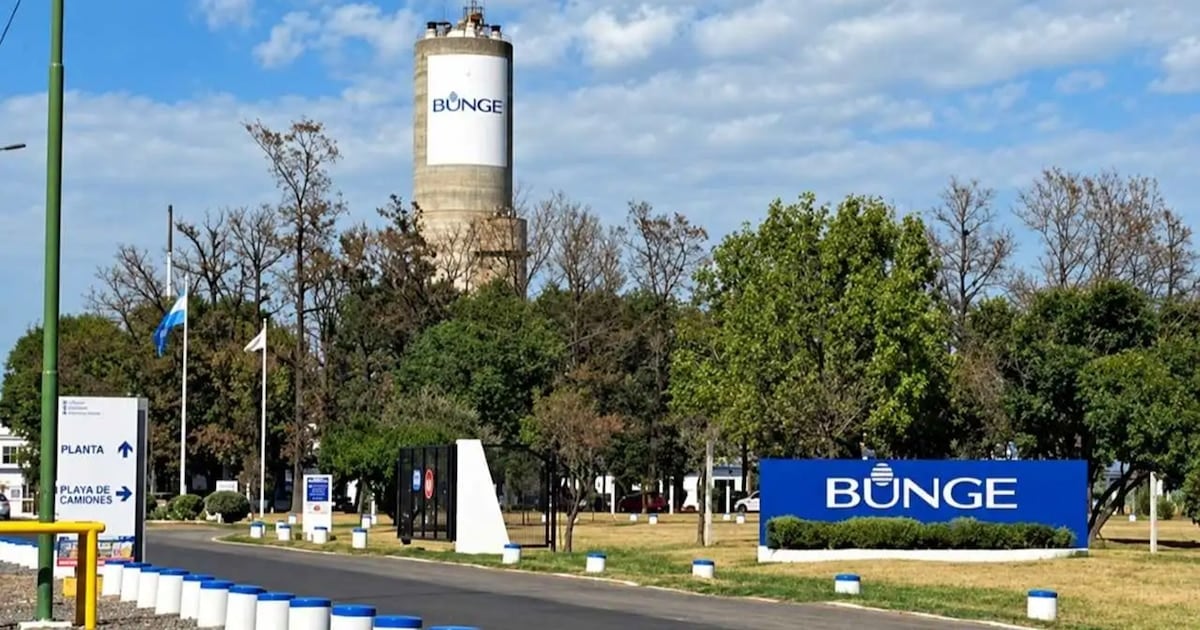 Campana pierde una planta de insumos para fertilizantes y quedan 110 trabajadores sin empleo